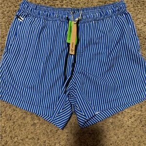 Blue Striped Men's Swim Shorts